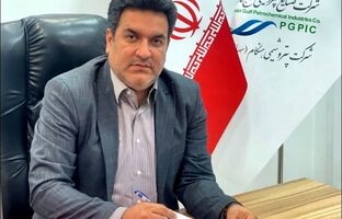 پیام تبریک مدیرعامل شرکت پتروشیمی هنگام به مناسبت هفته وحدت