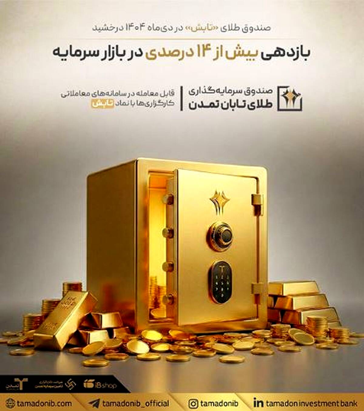 صندوق طلای «تابش» در دی‌ماه ۱۴۰۴ درخشید؛ بازدهی بیش از ۱۴ درصدی در بازار سرمایه