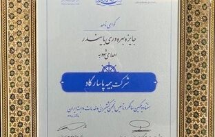 لوح زرین جایزه ملی بهره‌وری «بایندر» به شرکت بیمه پاسارگاد رسید
