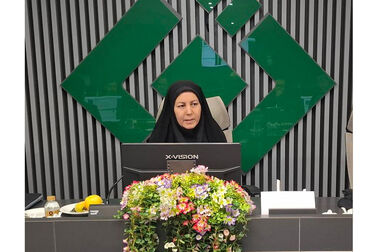فرزانه: صنعت بیمه نیازمند عبور از مدل‌های سنتی و حرکت به سمت ابزارهای مالی نوین مدیریت ریسک است