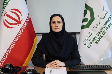 رشد چشمگیر سهم بازار، سودآوری و تأمین مالی در بانک توسعه صادرات ایران