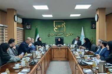 ​​​​​​اصلاح الگوی مصرف با استانداردسازی انرژی محقق می‌شود 