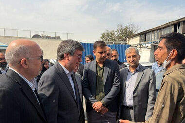  سهم ۷۰ درصدی بیمه ایران از سرمایه صنعت، تضمین‌کننده ثبات بازار