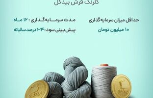 آغاز پویش تامین مالی جمعی شرکت «گلرنگ فرش بیدگل»