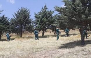 اقدامات پیشگیرانه از آتش‌سوزی در جنگل‌ها و باغات منطقه ۲ 