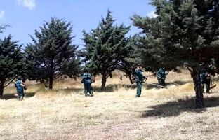 اقدامات پیشگیرانه از آتش‌سوزی در جنگل‌ها و باغات منطقه ۲ 