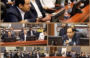 لزوم تنظیم‌گری هوشمند و همکاری نهادهای مالی برای پیشگیری از ریسک‌های سیستمی