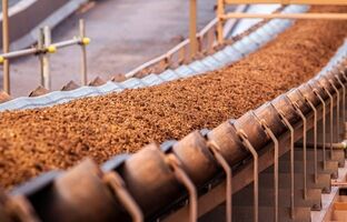 «بائو» در حال بررسی خرید سهام یک معدن BHP است