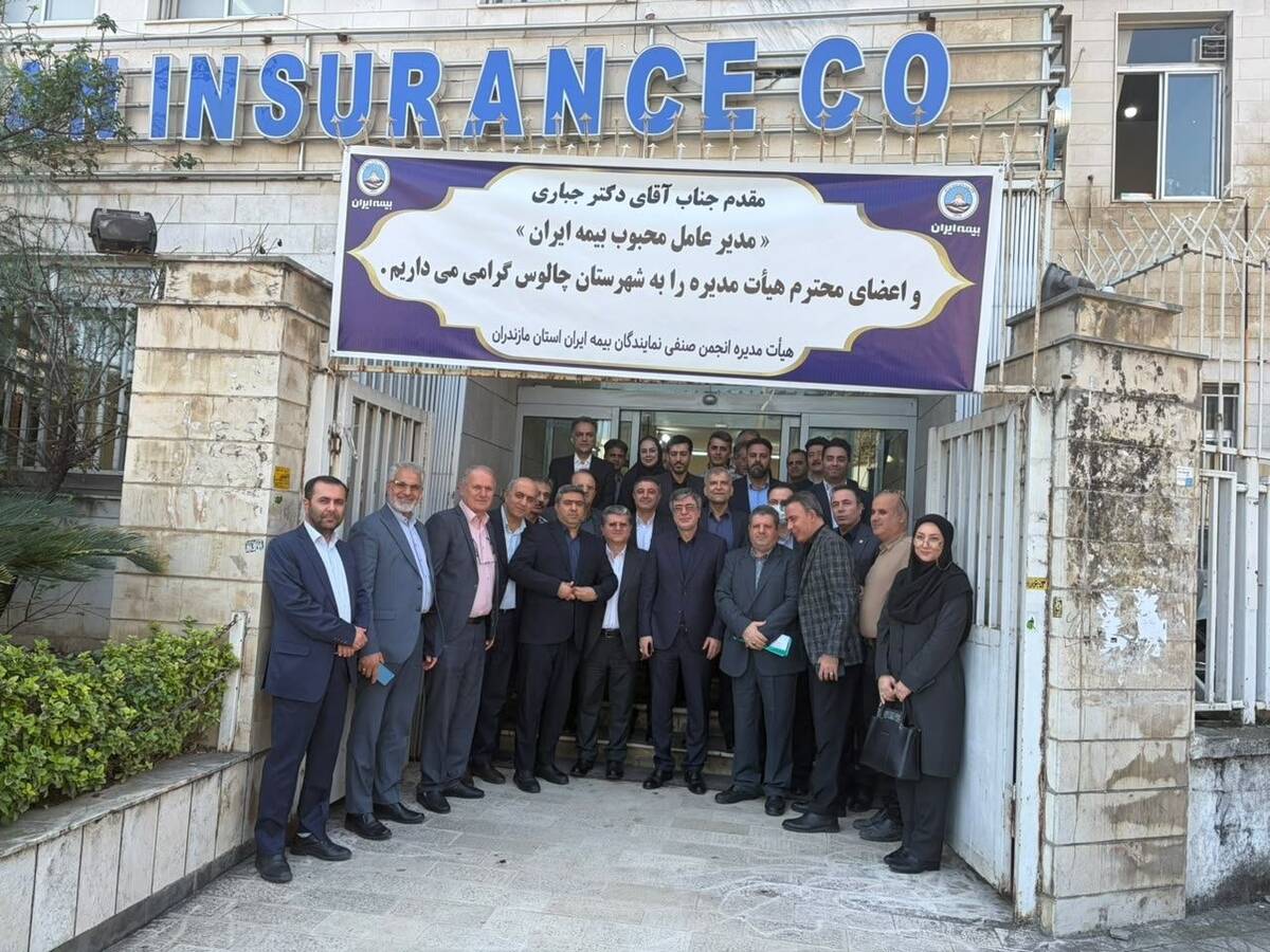  سهم ۷۰ درصدی بیمه ایران از سرمایه صنعت، تضمین‌کننده ثبات بازار