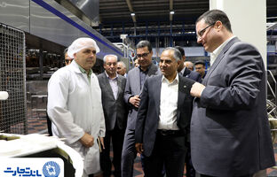 بانک تجارت حامی توسعه و افزایش توان تولیدی «دومینو»