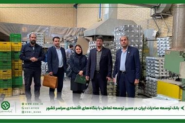 بانک توسعه صادرات ایران، پشتیبان راهبردی صنعت پتروشیمی و تقویت صنایع پایین دستی