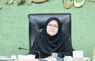 گفتمان سازی برنامه تحولی اجرای مقررات فنی در حوزه استاندارد ضروری است
