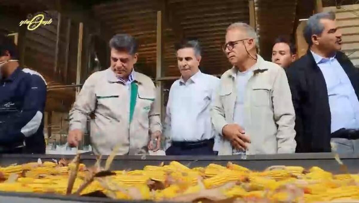 زپارس به دنبال تکرار تجربه موفق ذرت ۷۰۴ در سایر محصولات راهبردی کشور