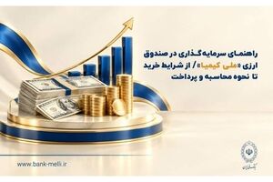 راهنمای سرمایه‌گذاری در صندوق ارزی «ملی کیمیا» / از شرایط خرید تا نحوه محاسبه و‌ پرداخت