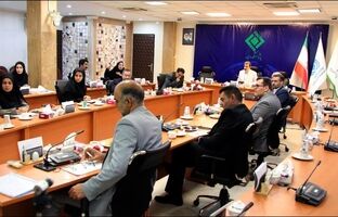 بررسی طرح پژوهشی با عنوان «بررسی برابری حقوق راننده مسبب حادثه در برخورداری از مزایای بیمه همچون شخص ثالث» در شورای پژوهشی پژوهشکده بیمه