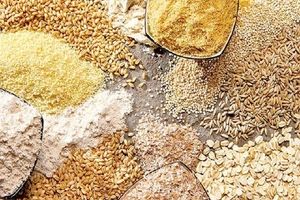 پس از حذف ارز ترجیحی افزایش قیمت داریم؟/ ضرورت مدیریت زنجیره تولید