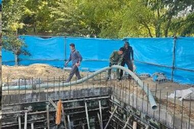درختان منطقه2 آماده خواب زمستانی شد