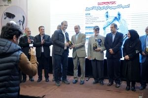 بیستمین جشنواره ملی زیبایی اسب کاسپین در منطقه آزاد انزلی برگزار شد