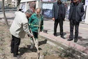 بیش از ۲۰۰۰ اصله نهال در منطقه۱۳ کاشته شد