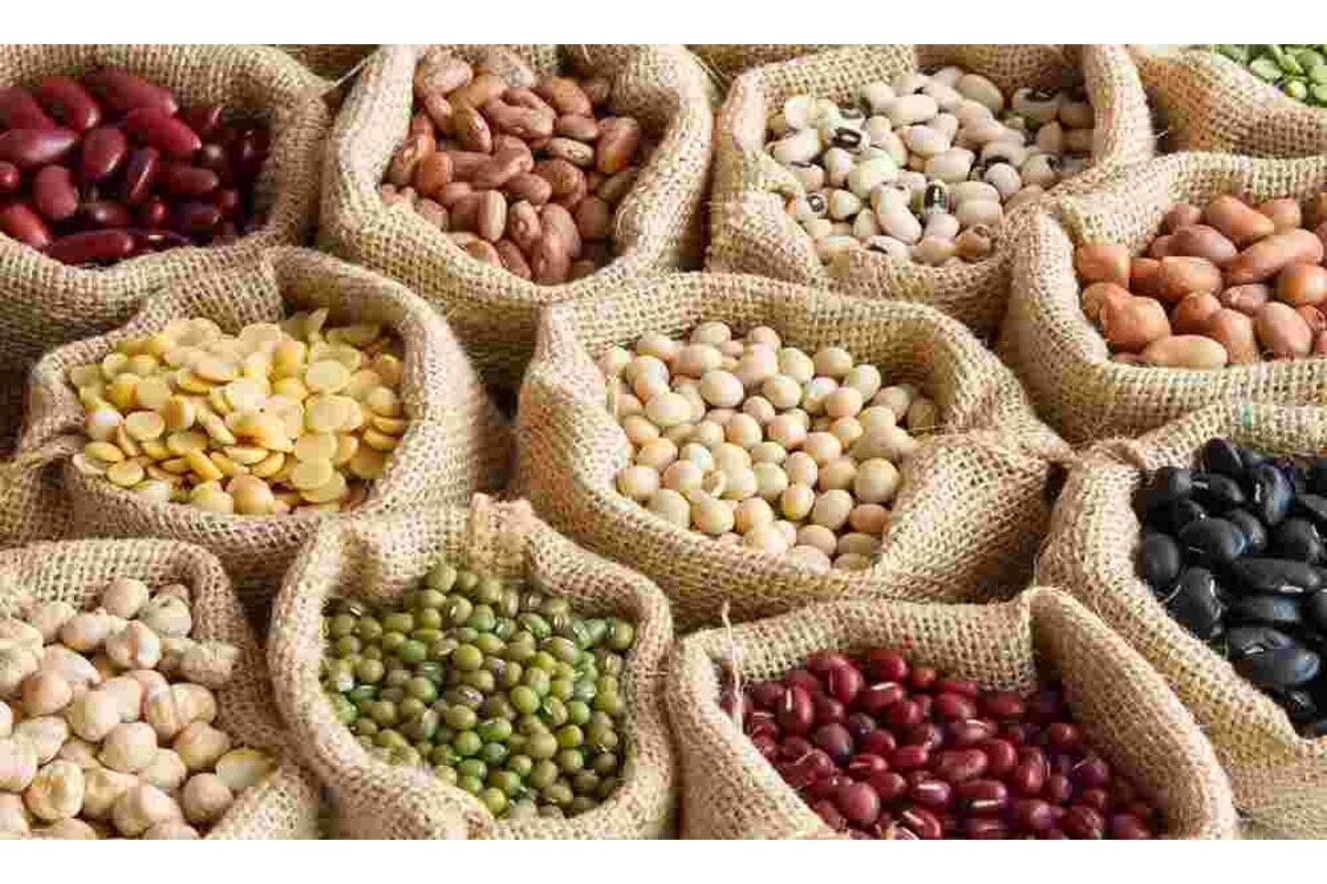 قیمت حبوبات غیر شرکتی در میادین و بازارهای میوه و تره بار تهران (۳۰شهریور ۱۴۰۵) اعلام شد