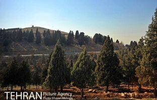 ۸۰ کیلومتر آبرسانی بوستان جنگلی سرخه حصار انجام شد