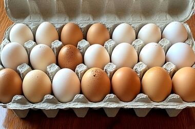 قیمت انواع گوشت مرغ تازه و بسته بندی و قطعه بندی اعلام شد