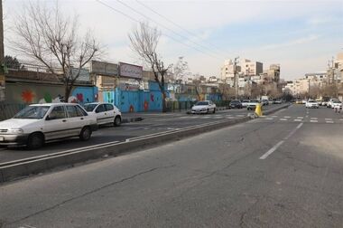 پاکسازی ۱/۵ کیلومتر از مسیر راهپیمایی ۲۲ بهمن