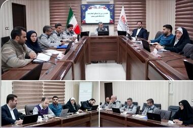 عزم جدی ایمیدرو و استانداری خراسان شمالی برای آغاز اکتشاف در ۱۰ محدوده معدنی