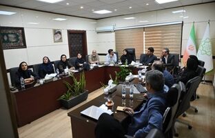 بازنگری در چهار طرح موضعی ولنجک و شهرک‌های تابعه منطقه یک