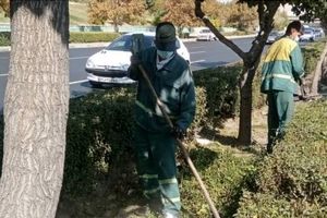 بازپیرایی رفیوژهای معابر شهری و بزرگراهی منطقه ۲ 