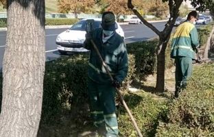 بازپیرایی رفیوژهای معابر شهری و بزرگراهی منطقه ۲ 