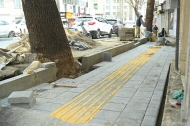 خدمات بی وقفه در شهر، از دمیدن نفس های سبز تا تیمار درختچه های منطقه یک 