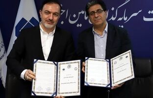 مدیرعامل شستا: صادرات انتخاب نیست، شرط بقا، مسیر یادگیری و حضور در متن شبکه‌های کسب‌وکار است