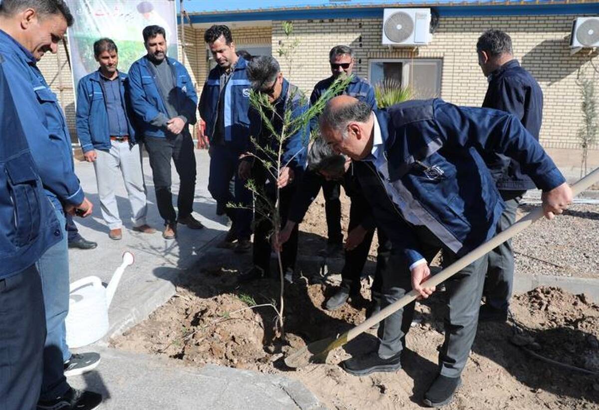 برگزاری مراسم کاشت نهال توسط مدیر عامل شرکت سنگ آهن مرکزی