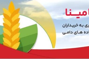 تشریح نحوه وکالتی سازی حساب در بانک ملت