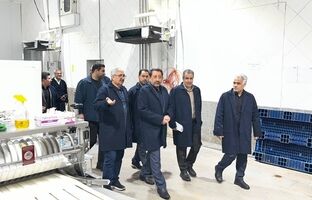 سرمایه در گردش واحدهای تولیدی هرچه سریع‌تر پرداخت شود