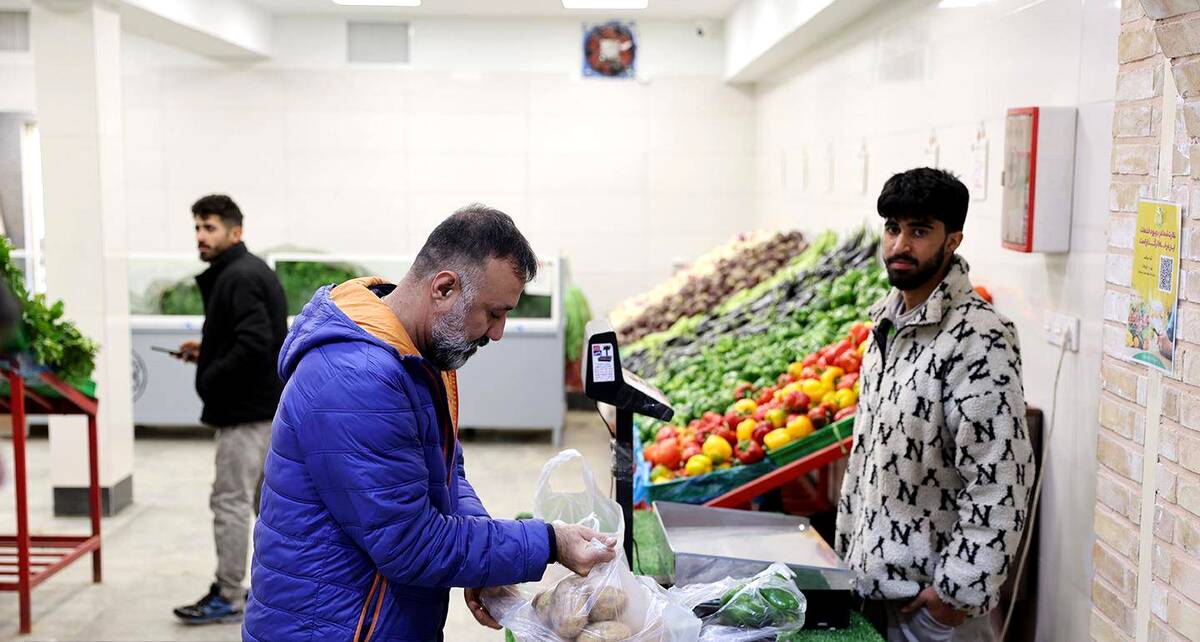 اختلاف قیمت ۳۹ درصدی میوه در میادین و بازارهای میوه و تره‌بار به نسبت سطح شهر