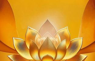 بیمه پاسارگاد رکورد شکنی کرد 