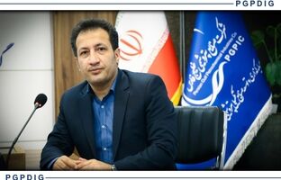 وحید نام نیک سرپرست مدیر عامل پتروشیمی صدف شد