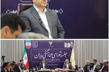 هم‌افزایی برای آینده ناوگان ریلی/ بررسی ابعاد مشارکت بخش خصوصی در بهره‌برداری از لکوموتیوهای GE