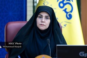 هم‌افزایی صنعت و سرمایه؛ راهبرد نوین توسعه در صنعت گاز