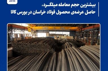 نحوه عرضه محصولات در بورس کالا در هفته آینده ابلاغ شد