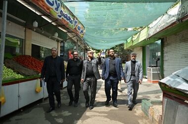 بازسازی نهر باغچه خیابان ولیعصر (عج) با اولویت حفظ درختان چنار کهنسال