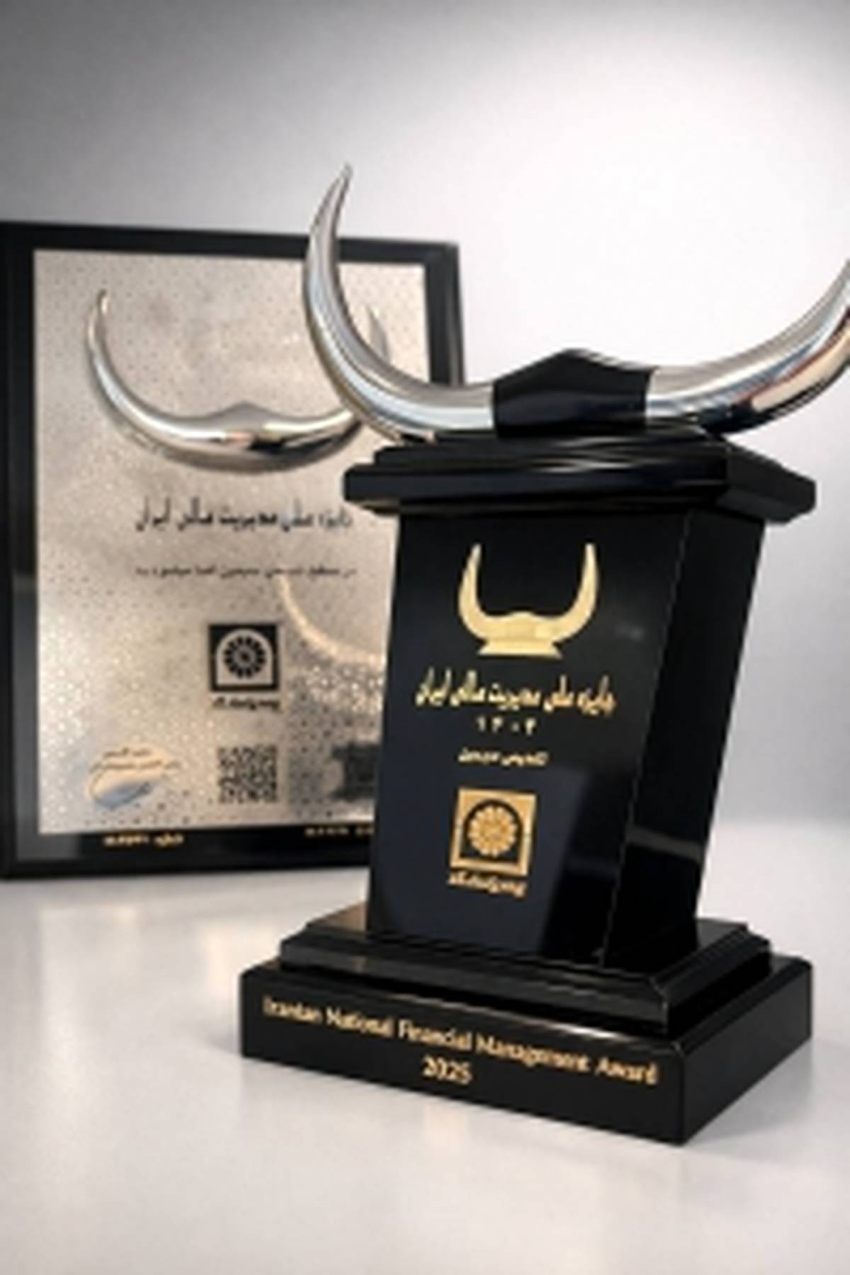 بیمه پاسارگاد موفق به دریافت تندیس سیمین شانزدهمین دوره جایزه ملی مدیریت مالی ایران شد