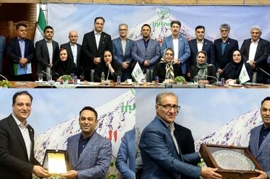 نقش نوشتی از طرح «بیمه های زندگی و سرمایه گذاری پروژه محور»