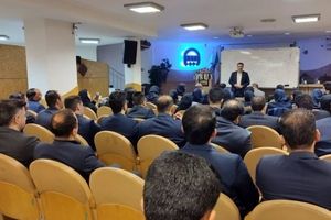 ایجاد درآمدی پایدار در دوران بازنشستگی با بیمه مستمری مادالعمر رایان