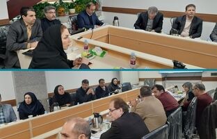 حضور دبیرکل سندیکای بیمه‌گران ایران در جلسه مدیران شورای عالی بیمه سلامت