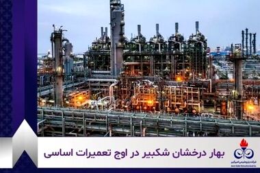 فرصت‌سازی پتروشیمی امیرکبیر از ظرفیت جنگ تعرفه‌ای میان چین و آمریکا