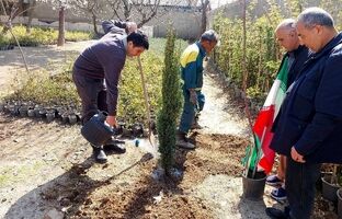 برگزاری پویش درختکاری «به یاد سرو، به نام ایران» در بوستان های منطقه ۵
