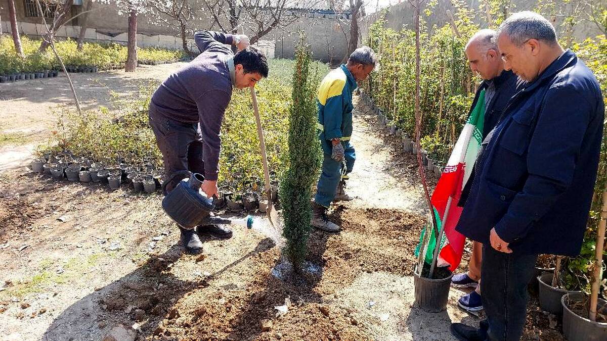 برگزاری پویش درختکاری «به یاد سرو، به نام ایران» در بوستان های منطقه ۵